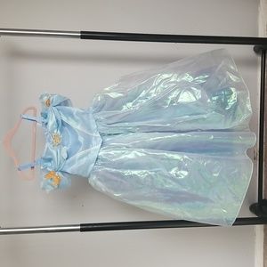 Limited Edition Cinderella Gown Girls 5/6